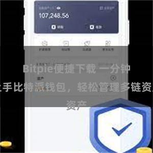 Bitpie便捷下载 一分钟上手比特派钱包，轻松管理多链资产