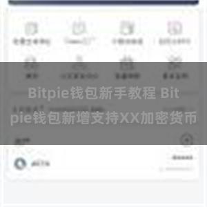 Bitpie钱包新手教程 Bitpie钱包新增支持XX加密货币