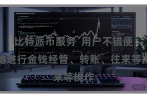 比特派币服务  用户不错便捷地进行金钱经管、转账、往来等操作