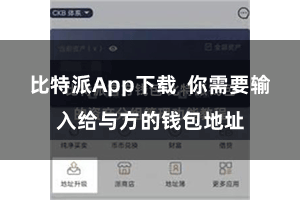 比特派App下载  你需要输入给与方的钱包地址